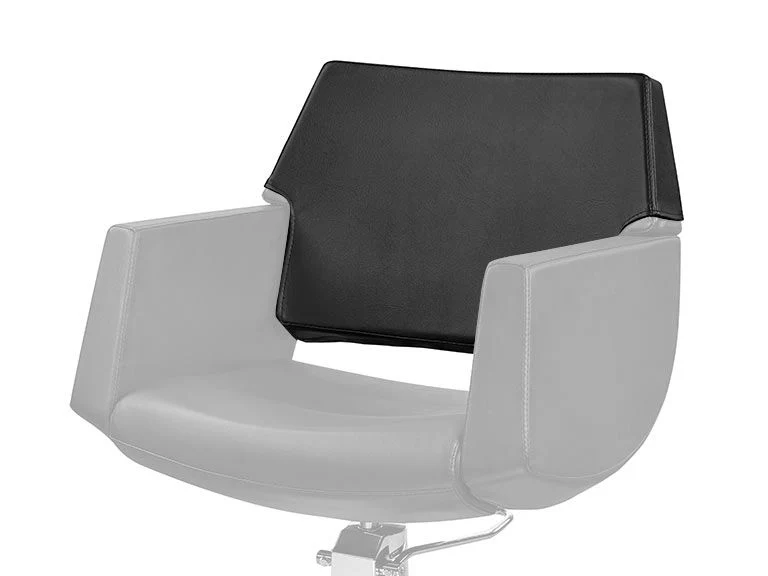 Salon Chairs